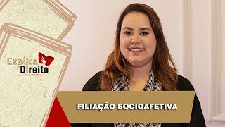 Explica Direito Filiação Socioafetiva  2019 [upl. by Sibelle]