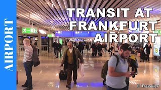 TRANSIT WALK AT FRANKFURT Airport FRA Terminal 1  Connection Flight Transfer Arriving amp Departing [upl. by Ytteb499]